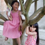 Chipies in the tree