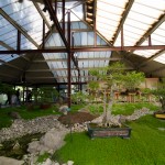 Serre des bamboo