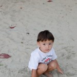 Chenti triste dans le sable
