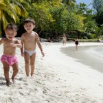 Promenons-nous sur la plage pendant...