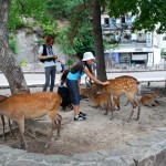 Ils mendient des caresses et de la bouffe