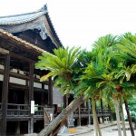 J'aime bien le côté "tropic" mixé avec les temples